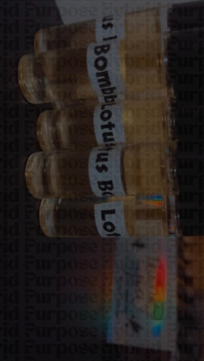 Hybrid Purpose✨Essentials Bundle